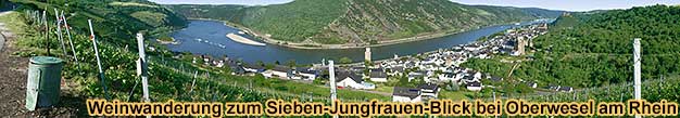 Mittelrhein-Weinwandertag mit 4 Weinproben im Weinberg in Oberwesel am Rhein